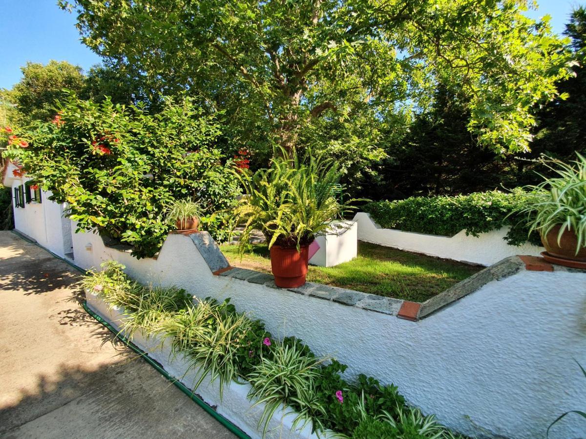 Aparthotel Dionisos And Apts Skiathos Koukounaries